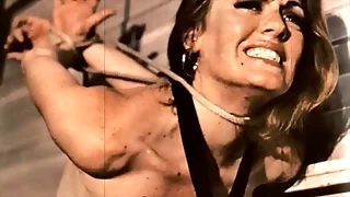 My Fusty Life&comma; Vintage Tribade Servitude